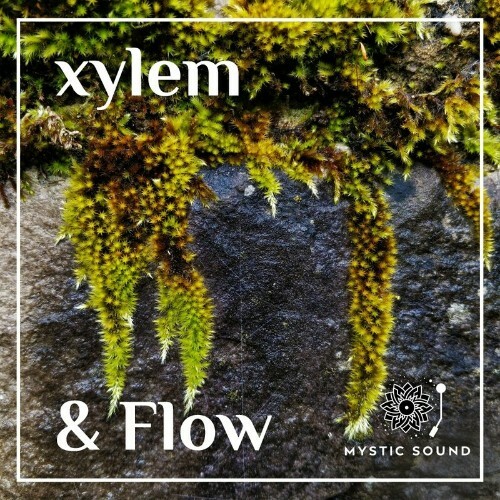 Xylem - And Flow (2022)