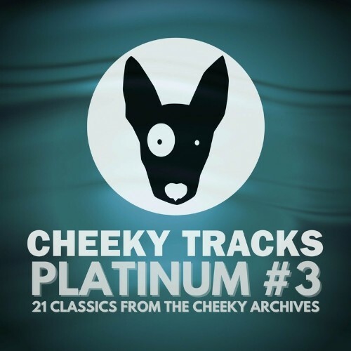 VA - Cheeky Tracks Platinum #3 (2022) (MP3)