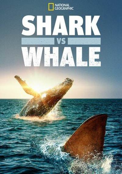 Rekin kontra waleń / Shark vs. Whale (2020) MULTi.1080p.DSNP.WEB-DL.x264-DSiTE / Lektor Napisy PL