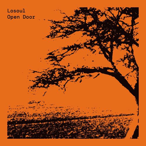 LoSoul - Open Door (Expanded Edition) (2022)