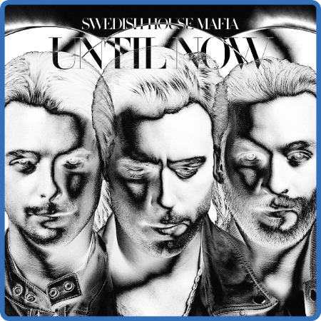 Swedish House Mafia - Until Now 2012