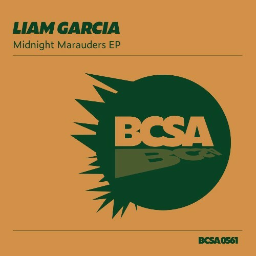 VA - Liam Garcia - Midnight Marauders (2022) (MP3)