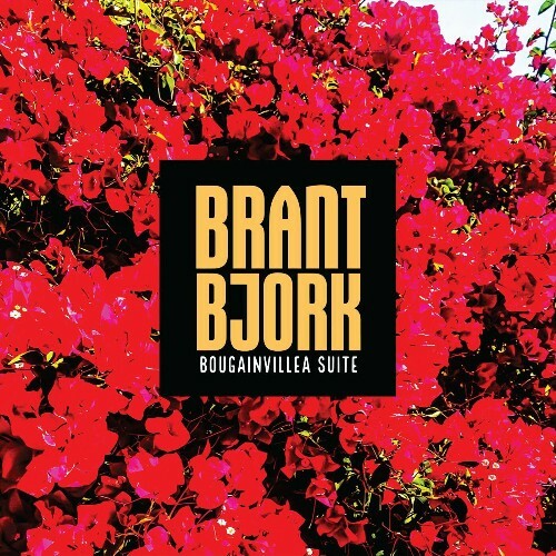 VA - Brant Bjork - Bougainvillea Suite (2022) (MP3)