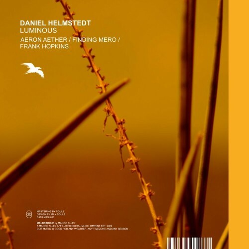 VA - Daniel Helmstedt - Luminous (2022) (MP3)