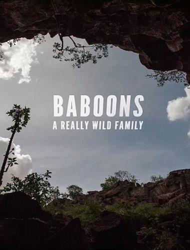 Дикая семейка бабуинов / Baboons: A Really Wild Family (2021) HDTVRip 720p