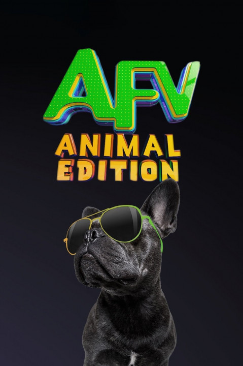 Zwierzaki w obiektywie / America's Funniest Home Videos: Animal Edition (2022) [SEZON 2] PL.1080i.HDTV.H264-B89 | POLSKI LEKTOR