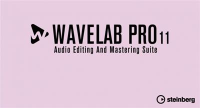 Steinberg WaveLab Pro  11.1.20