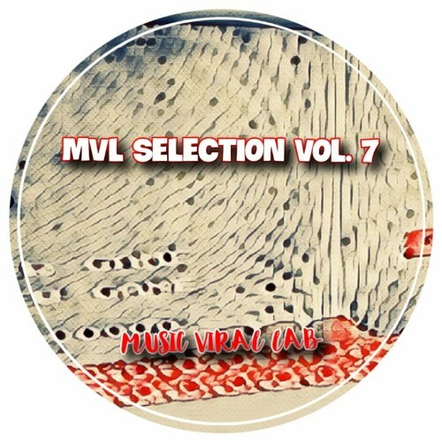 VA - MVL SELECTION VOL. 7 (2022) (MP3)