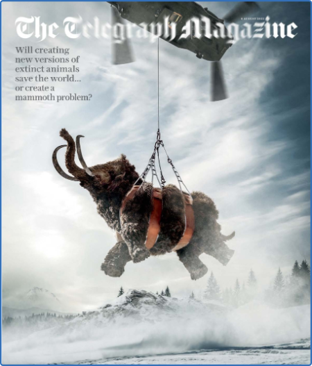 The Telegraph Magazine - 29 October 2022