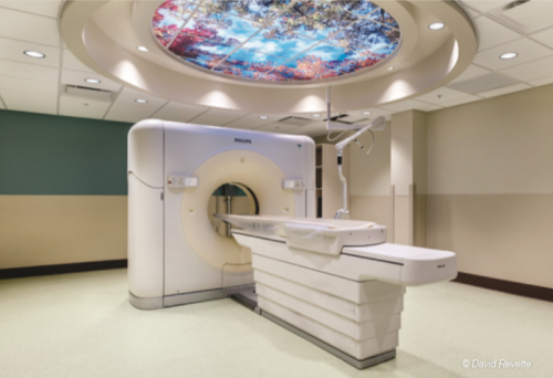 Specialized Engineering  Healthcare Facilities