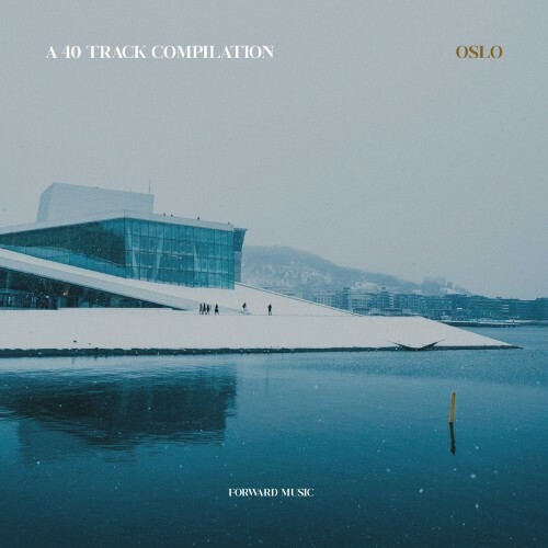 VA - A 40 Track Compilation: Oslo (2022) (MP3)