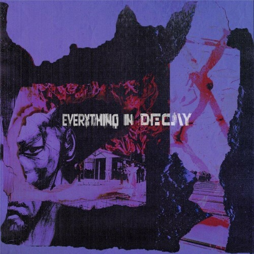 VA - The Microgram - Everything In Decay (2022) (MP3)