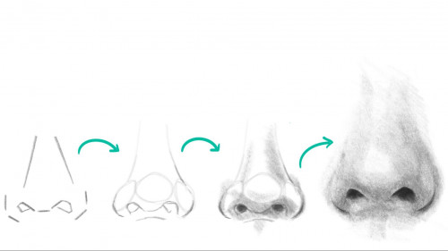 Head Drawing Basics  How to Draw Realistic Noses