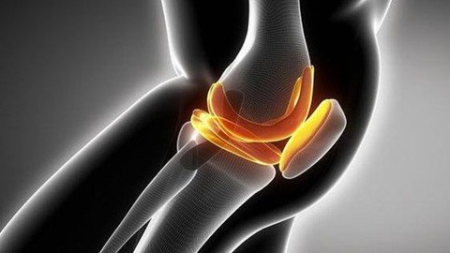 Cartilage Tissue Engineering Cartilage Tissue Engineering