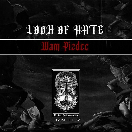 LOOK OF HATE - Wam Pizdec (2022)