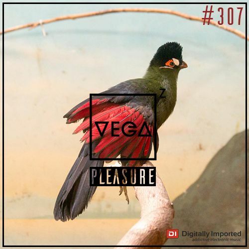 VA - Vega Z - Pleasure 307 (2022-11-02) (MP3)