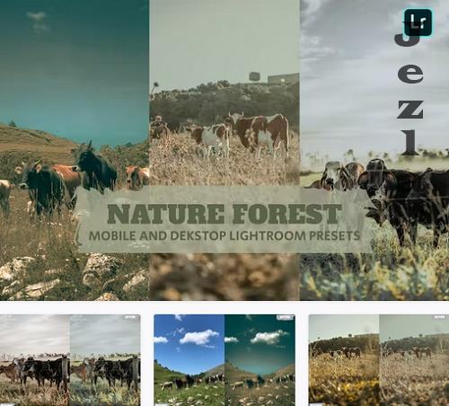 Nature Forest Lightroom Presets Dekstop and Mobile