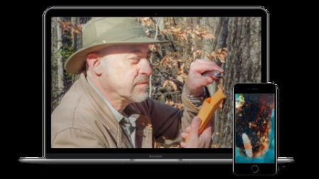 How To Find Tardigrades How To Find Tardigrades