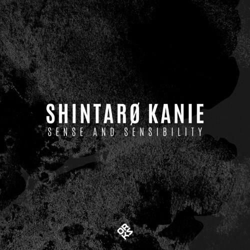 VA - Shintaro Kanie - Sense and Sensitivity (2022) (MP3)
