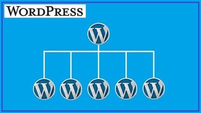 Wordpress Multisite - Step By Step
