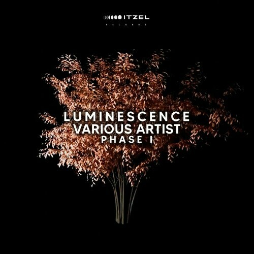 LUMINESCENCE Various Artist Phase I (2022)