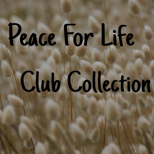 VA - Peace For Life Club Collection (2022) (MP3)
