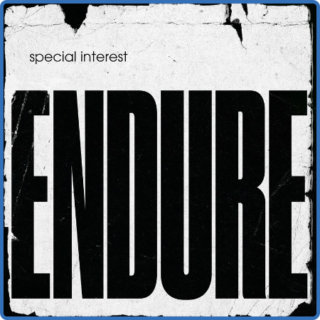 Special Interest - Endure (2022)