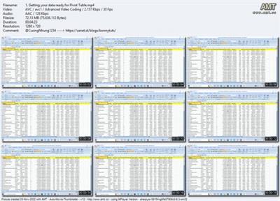 Excel Data Analysis using Pivot Tables and Pivot  Charts B793ec02a48d0c2c9d266d64b6abb3c1