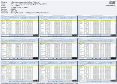 Excel Data Analysis using Pivot Tables and Pivot  Charts