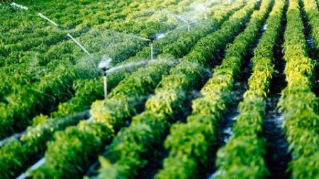 Farming Business Foundation Farming Business Foundation