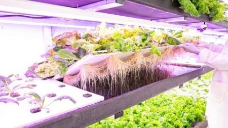 Hydroponics Design Farming And Gardening Hydroponics Design Farming And Gardening