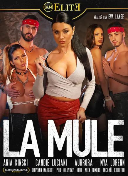 La Mule / Наркокурьер (Eva Lange, JM ELITE) [2022 г., Feature, Fetish, Anal, Big Tits, Lingerie, All Sex, WEB-DL]