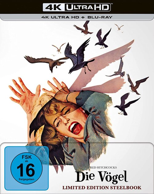 Ptaki / The Birds (1963) MULTi.2160p.UHD.BDREMUX.HDR.HEVC.DTS-HD.MA.2.0-BiRD ~ Lektor i Napisy PL