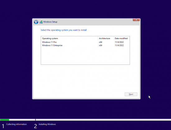 Windows 11 Pro & Enterprise Insider Build 25236.1000 x64 Pre-Activated (No TPM Required) 2022