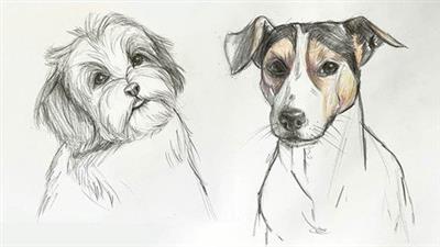 The Ultimate Guide To Drawing  Dogs Cc8fa272f5c95cce1aecd179027b24ac