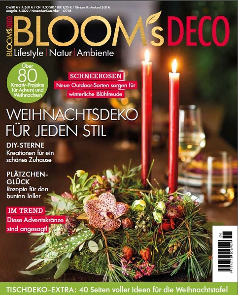 Bloom's Deco - November/Dezember (2022)