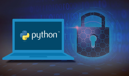 Python Functions and Libraries for Cybersecurity
