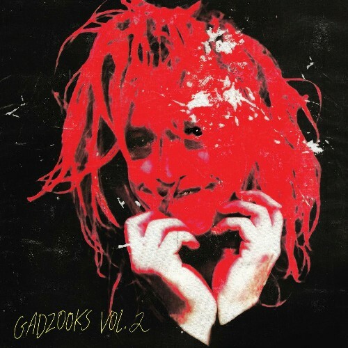 VA - Caleb Landry Jones - Gadzooks Vol. 2 (2022) (MP3)