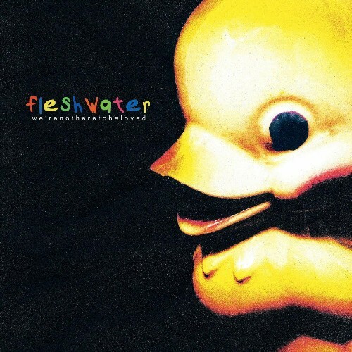 VA - Fleshwater - We're Not Here to Be Loved (2022) (MP3)