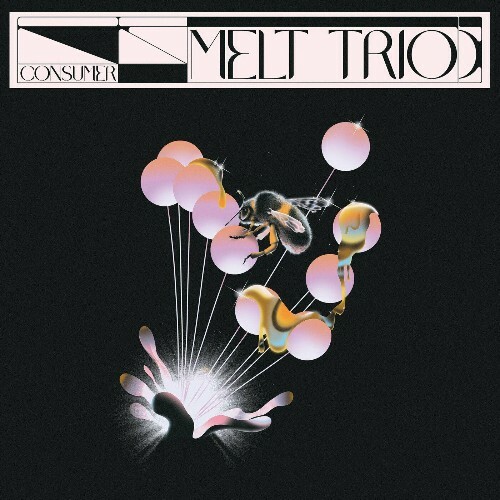 VA - Melt Trio - Consumer (2022) (MP3)