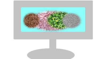 Accounting Basics - Simplified Questionnaire