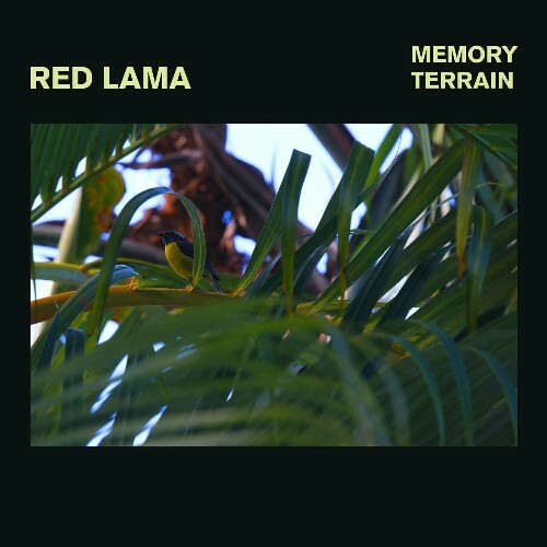 VA - Red Lama - Memory Terrain (2022) (MP3)