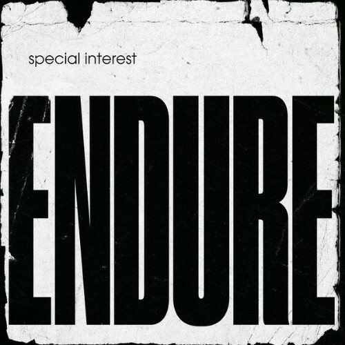 VA - Special Interest - Endure (2022) (MP3)