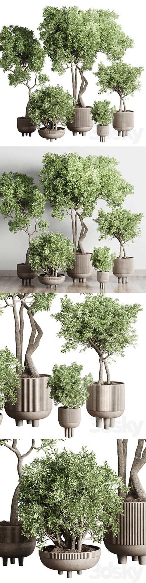 Collection Indoor Outdoor plant 118 vase concrete pot tree corona 3D Models