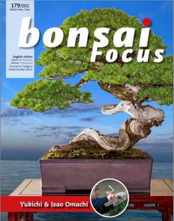 Bonsai Focus (English Edition)   November/December 2022