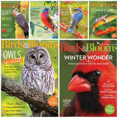 Birds & Blooms   2022 Full Year Issues Collection