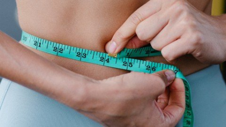 The Weight Loss Solution The Weight Loss Solution