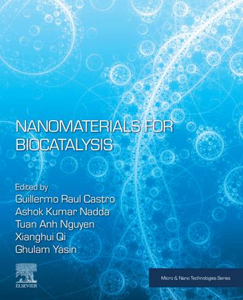 Nanomaterials for Biocatalysis (True ePUB)
