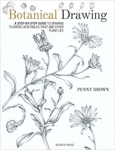 Botanical Drawing: A Step By Step Guide to Drawing Flowers, Vegetables, Fruit and Other Plant Life