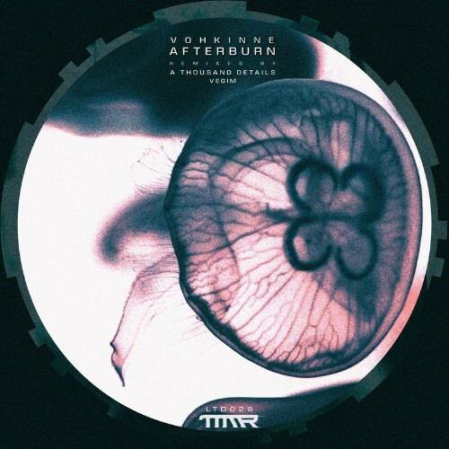 VA - Vohkinne - Afterburn (2022) (MP3)